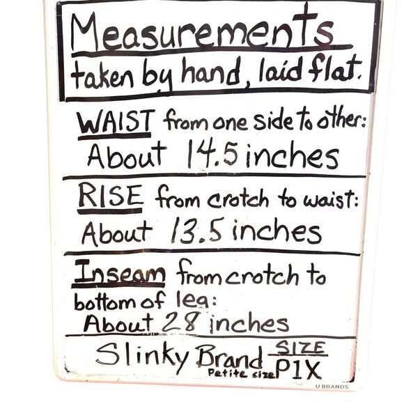 Slinky Brand P1X Pants Aqua Blue No Wrinkle Pull On stretch EUC 28” inseam Petit - Picture 6 of 6